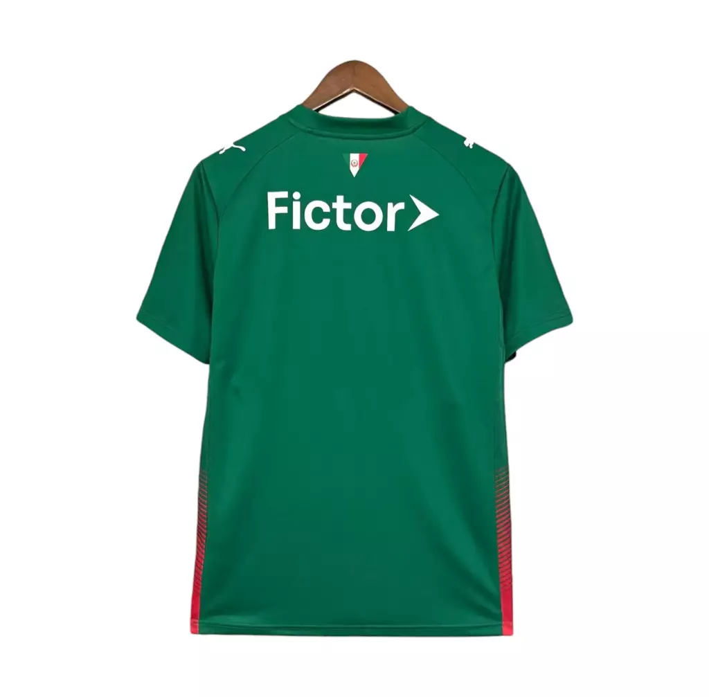 camisa-palmeiras-i-26-27-torcedor-puma-masculina-verde-1-08f1e770811de3be5717696964105537-1024-1024