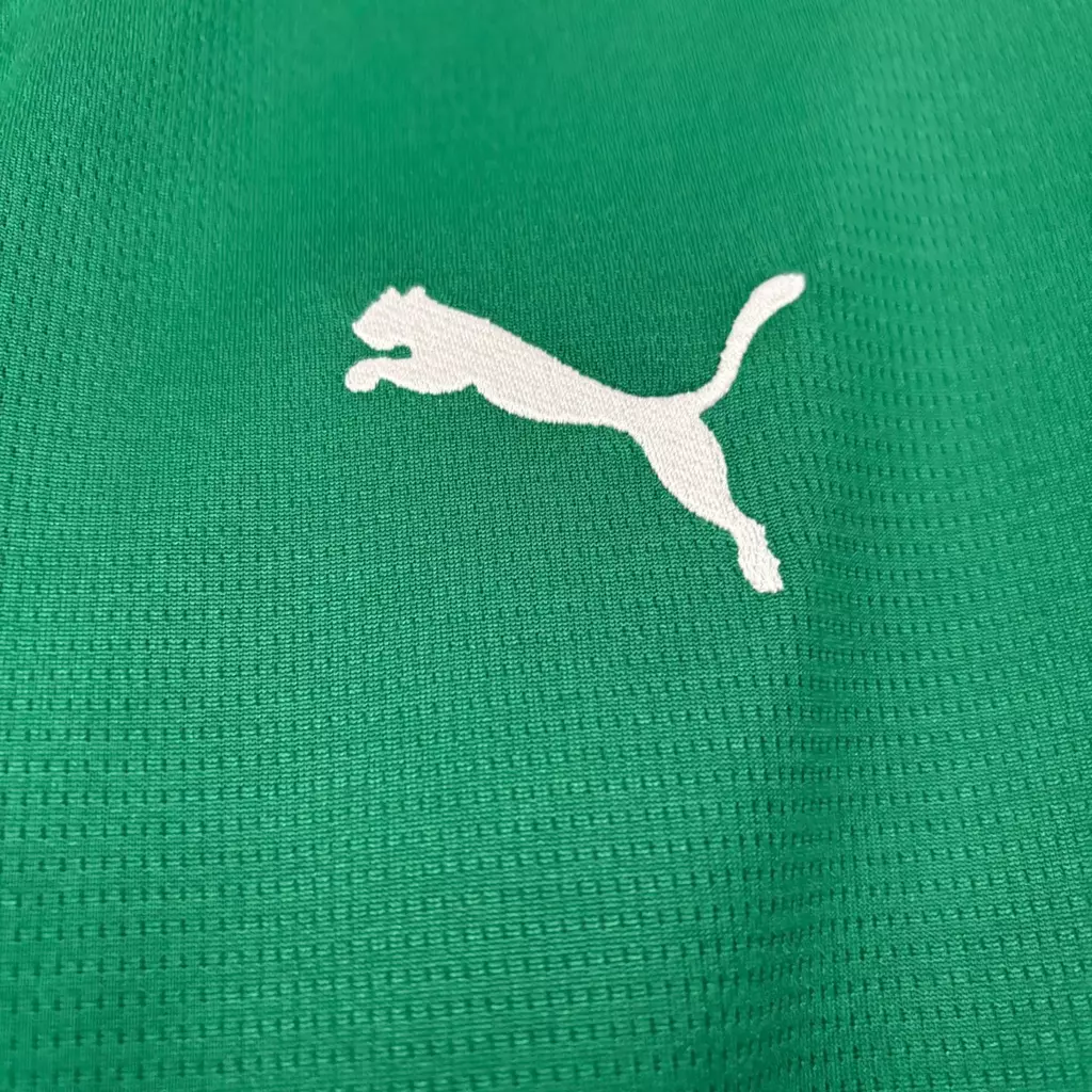 camisa-palmeiras-i-26-27-torcedor-puma-masculina-verde-4-244c5312a7c7bb7ffb17696964118042-1024-1024