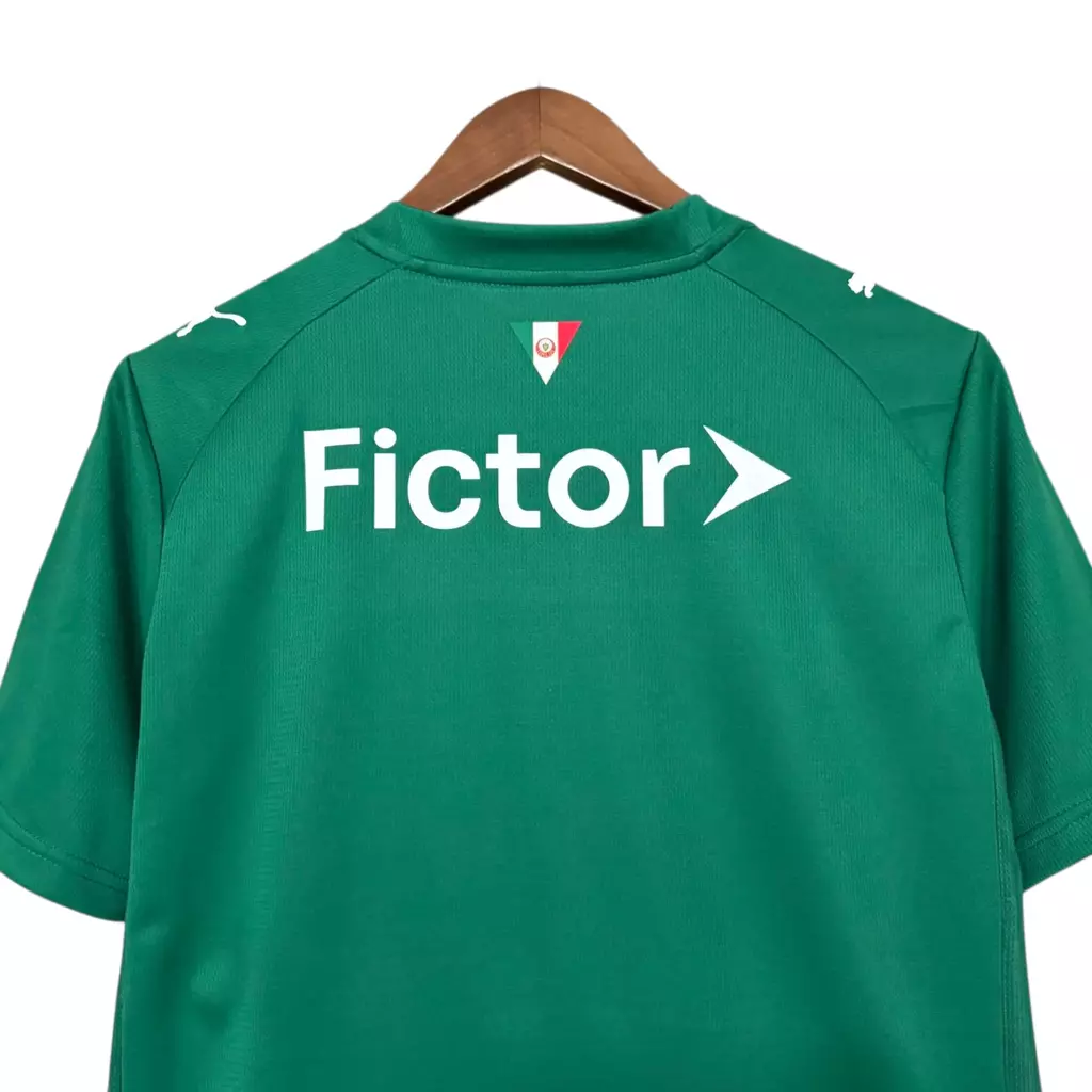 camisa-palmeiras-i-26-27-torcedor-puma-masculina-verde-6-3bdd6322941882b24817696964110139-1024-1024