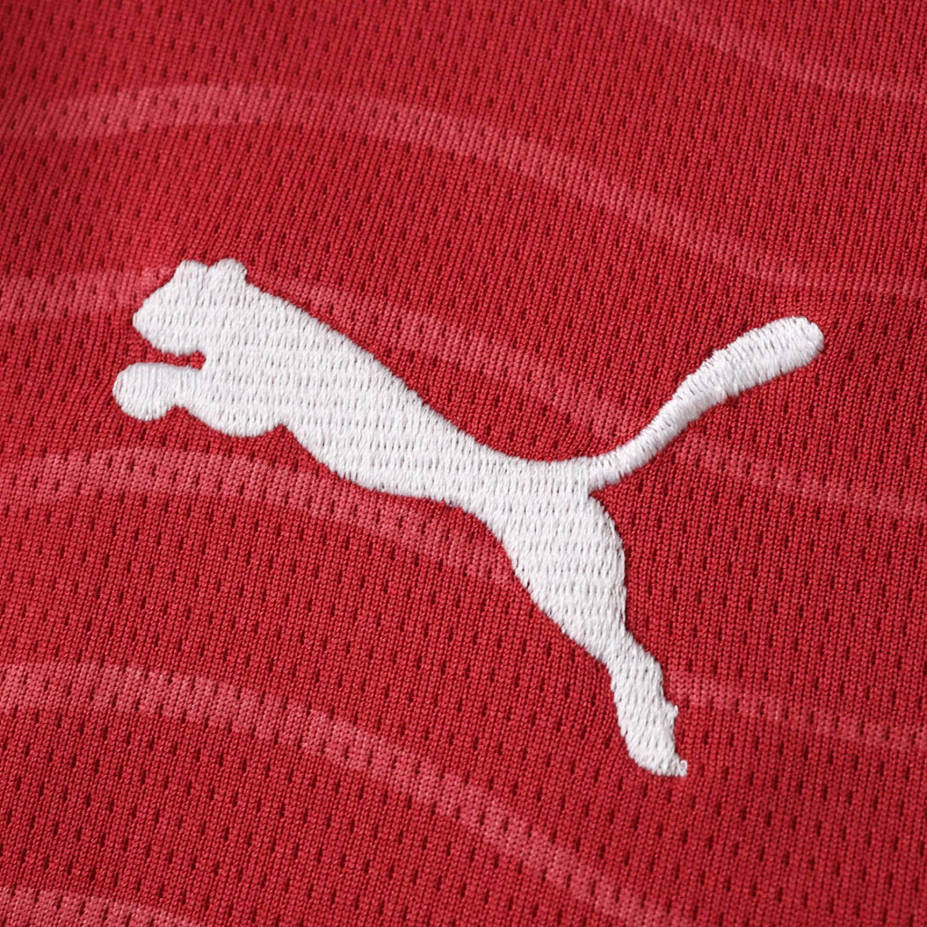 camisa-titular-2026-portugal-vermelha-copa-do-mundo-2026-2-d14f987b45ce24dac817638262860499-1024-1024